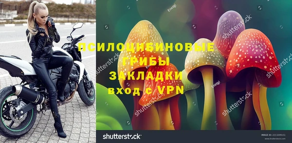 прущая мука Краснослободск