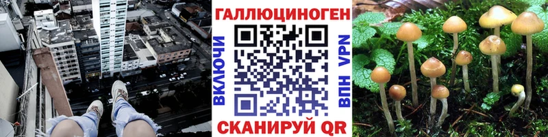 Купить  Хасавюрт  Галлюциногенные грибы Magic Shrooms 